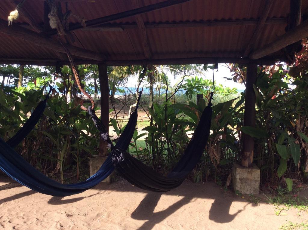Cabinas Balcon Del Mar Tortuguero Exteriér fotografie